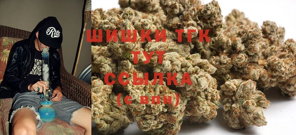 гидропоника Белокуриха