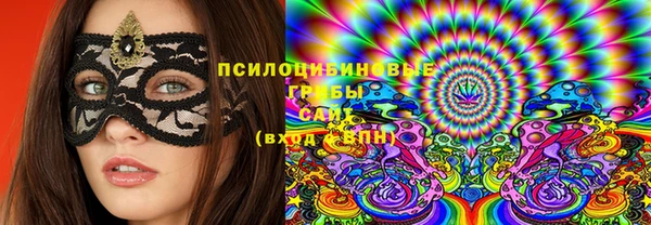 гидропоника Белокуриха
