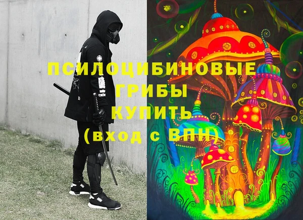 гашик Беломорск