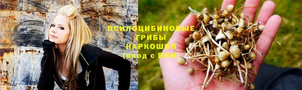 гашик Беломорск